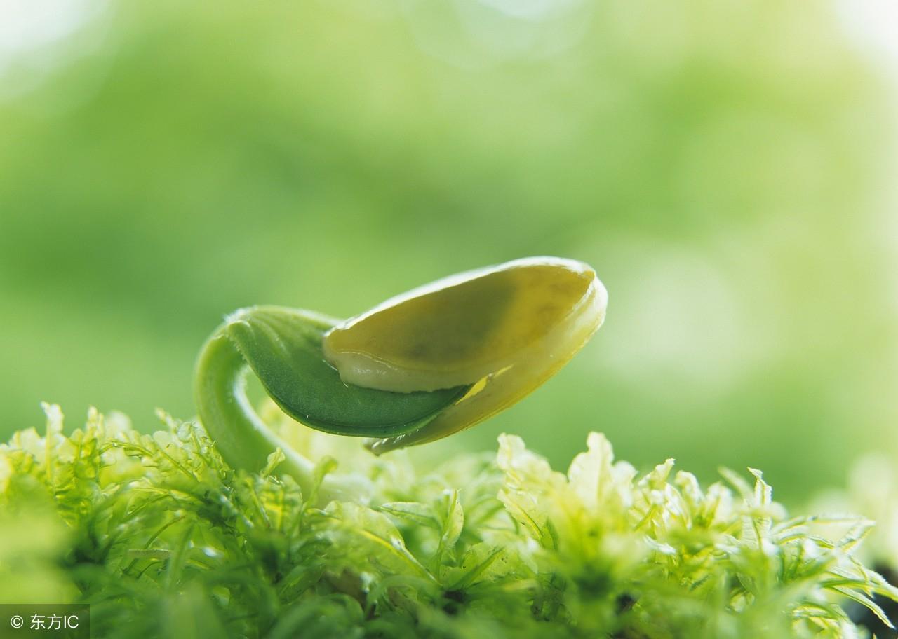 世态炎凉的生肖，马上为你揭晓落实