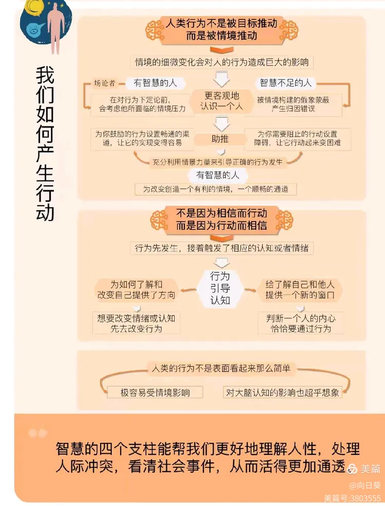 看房间的智慧与积极行动的交响曲—生肖鼠的启示