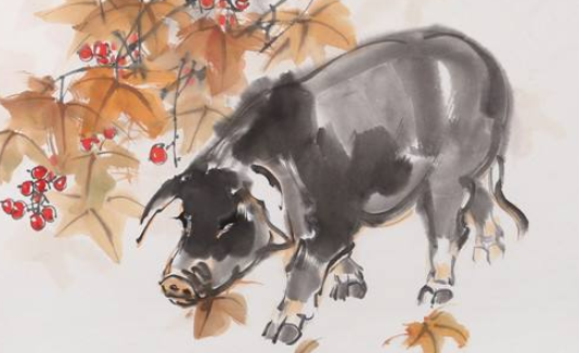 情有独钟打一生肖，佩服作答落实解释