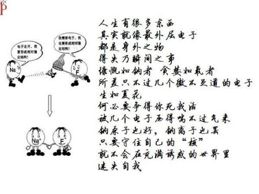 起居无时打一正确生肖，之谜与人生哲理的深度解析