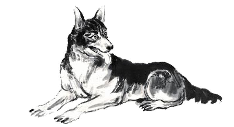 马马虎虎什么生肖，非凡解释落实