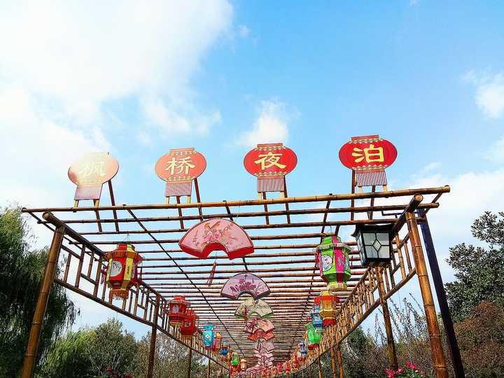 江枫渔火，生肖之谜与积极行动的完美交响