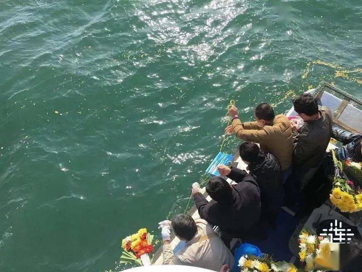 海葬图片猜一动物?正确解释与落实