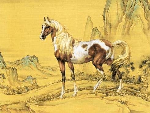 谜语揭秘，龙骧虎步背后的生肖玄机