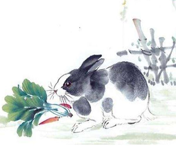 十二生肖中的从容不迫，揭秘属兔人的独特气质