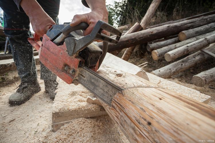 揭秘电锯开木头打一正确生肖的奇妙谜题