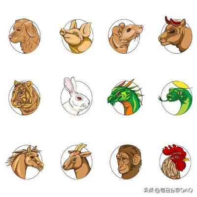 万无一失打一指—生肖之谜与人生哲理的深刻寓意