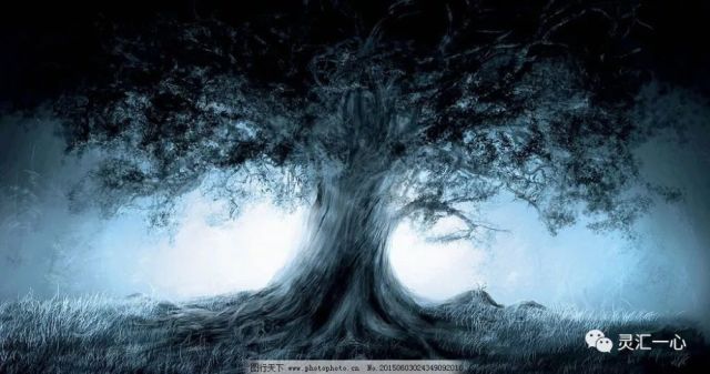 孤魂野鬼与生肖之谜，一场文化与科学的交织探索