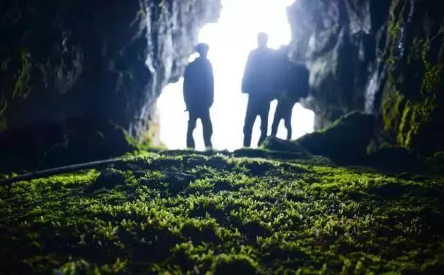 野性难驯，谜底揭晓，探秘豹之谜