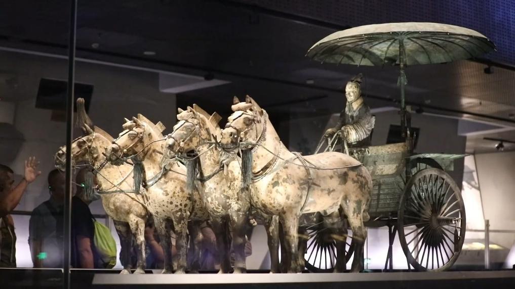 探秘龙骧虎步，生肖中的坚韧与不屈