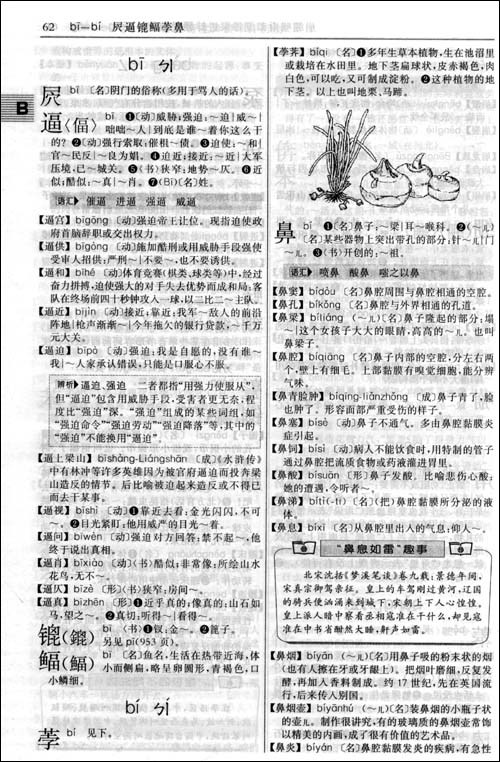 今年哪个生肖犯太岁，词语的深层释义与文化解读