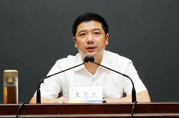 小肖指哪几个生肖，积极解释与落实的转变