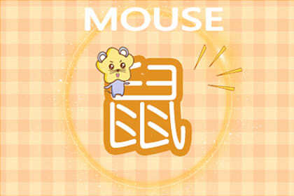 飞蛾扑火是指什么生肖，绝佳解释落实