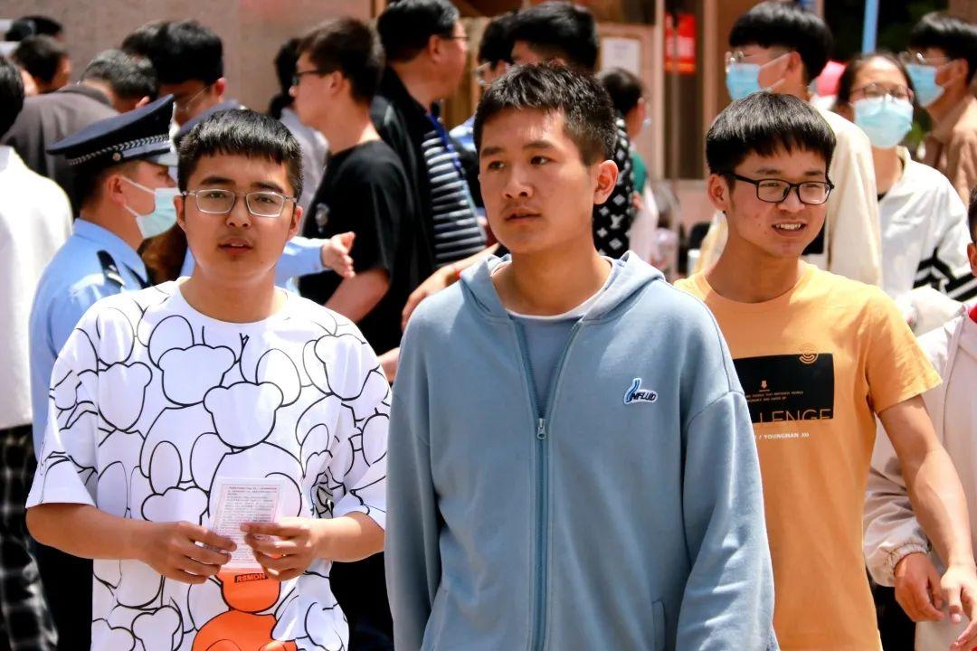 勇往直前，生肖中的马与坚韧不拔的精神