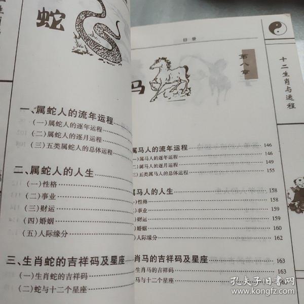 巧夺天工，生肖之谜的智慧解读