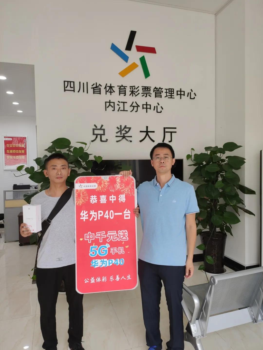 探索中国十二生肖的绘画艺术，画肖的魅力与网络解释的落实