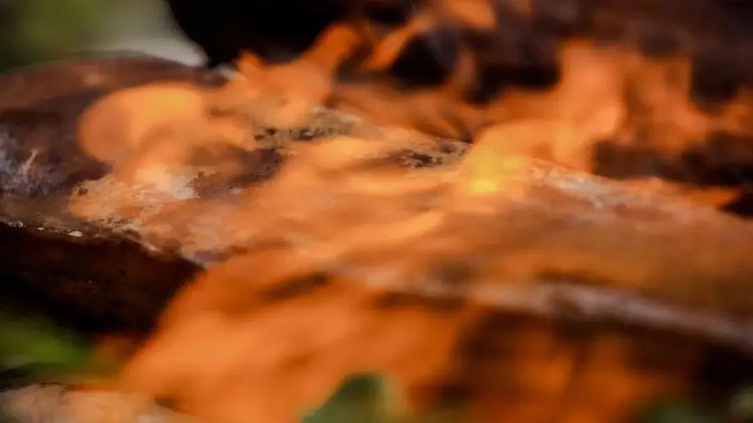 烟熏火燎，揭秘生肖中的火之舞者—蛇