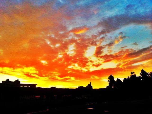 狼烟四起，生肖之谜与人生哲理的深度解析