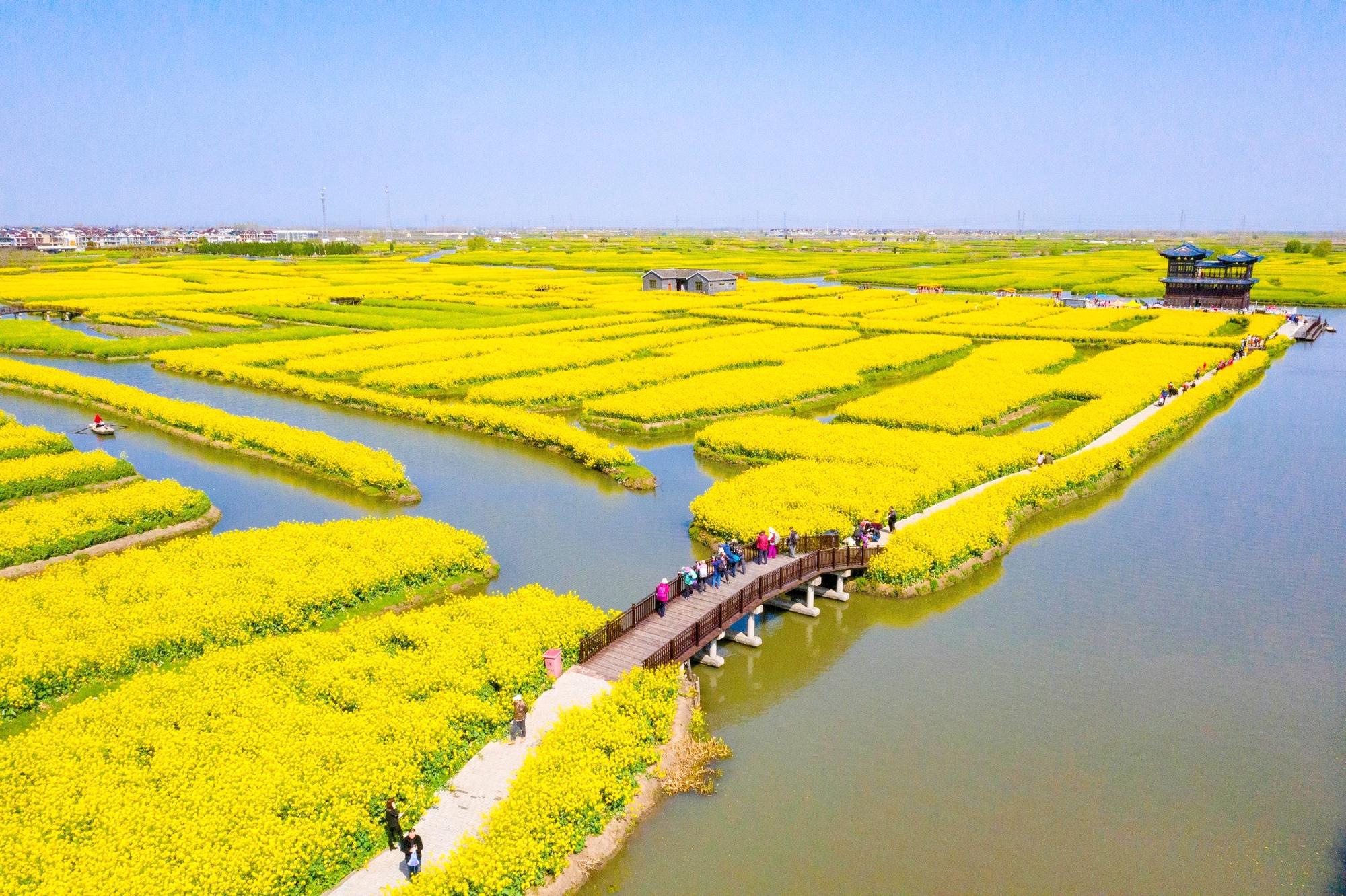 从黄花女儿到智慧之鹰，一次关于转变的深刻启示