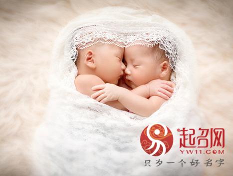 貌美如花是什么生肖,的动物智慧与战略运用 貌美如花是什么生肖,的动物智慧与战略运用