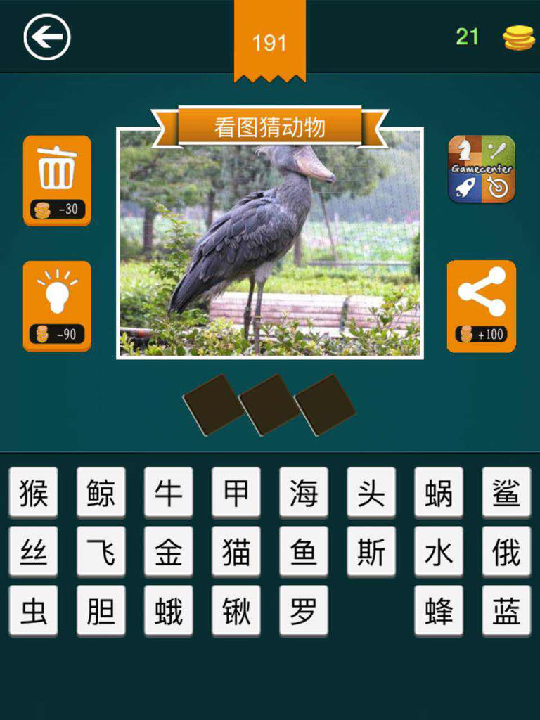 大中在线猜一动物，实证解析与趣味互动的完美结合