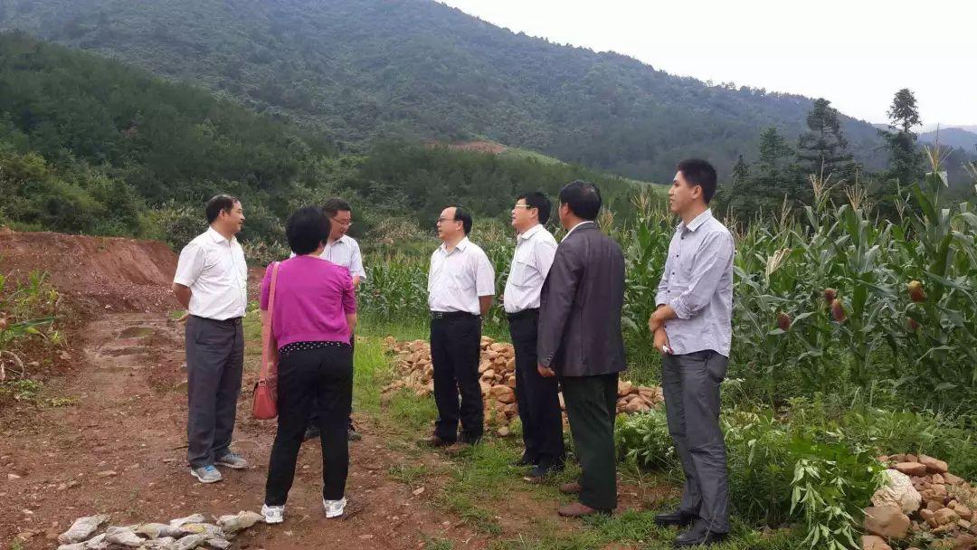 千里迢迢猜一最佳生肖，落实相信的解释