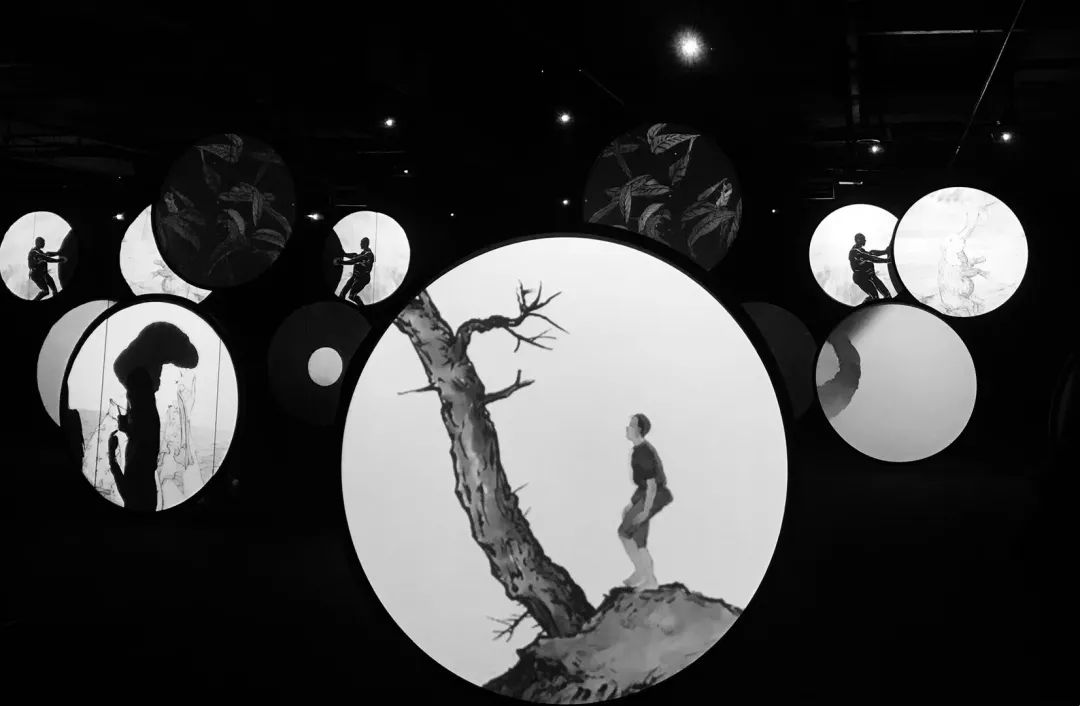 阳春白雪与生肖之谜，一场文化与智慧的碰撞