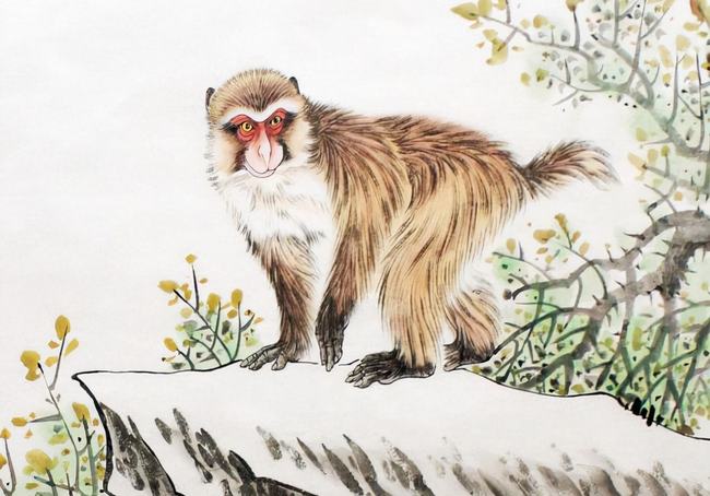 进退两难的生肖—社会进步与文化解析