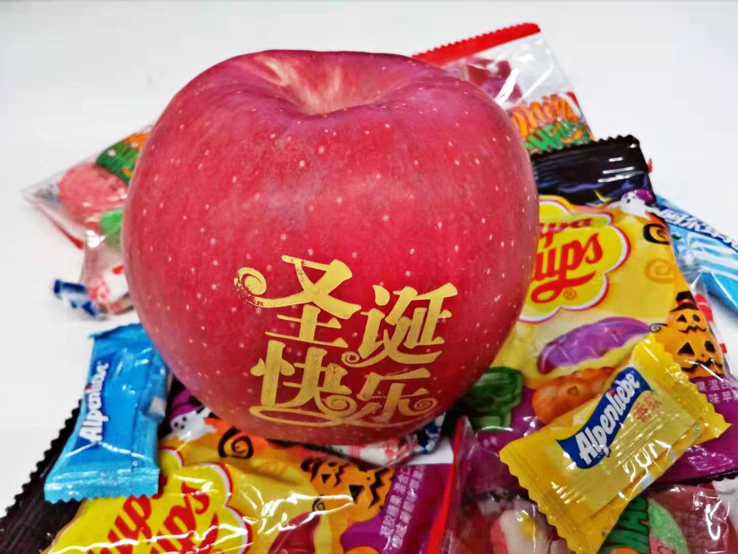 忆苦思甜，生肖鼠的独特视角与人生启示