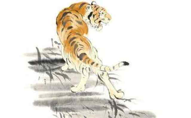 百折不挠猜一生肖，背后的智慧与哲理