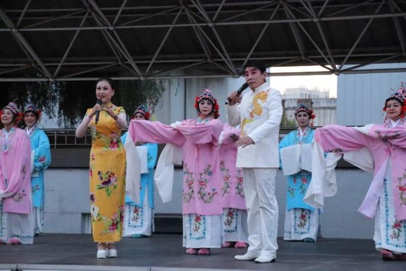 小肖的生肖之旅，精选解析与落实的详细结果