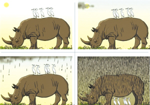 唯唯绸否，探寻背后的动物隐喻与文化智慧