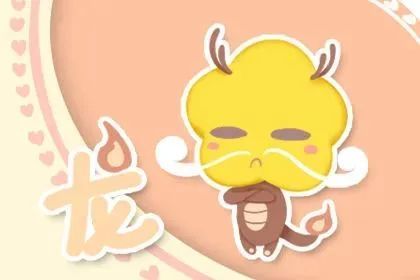 揭秘小象背后的生肖之谜，真相与解释