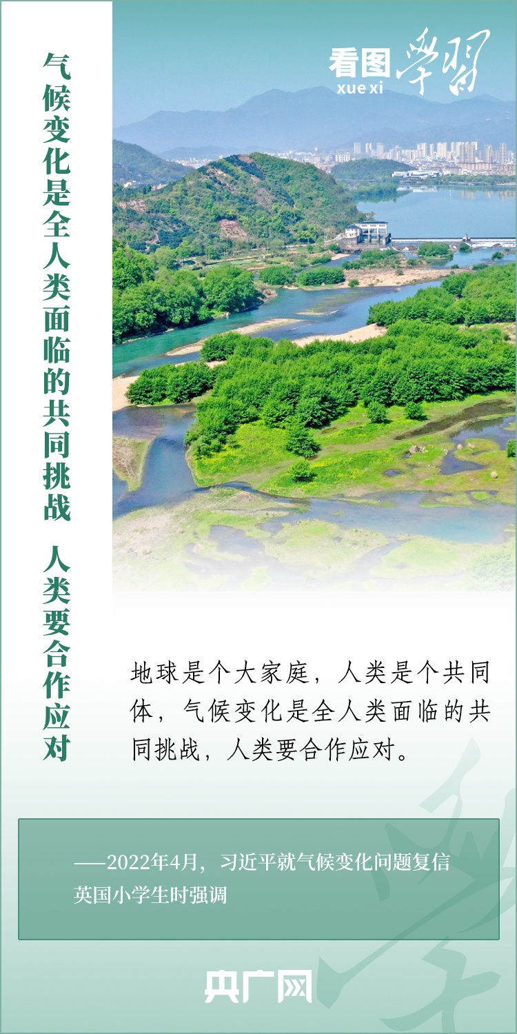 南方生肖的独特魅力，文化与自然的和谐共生