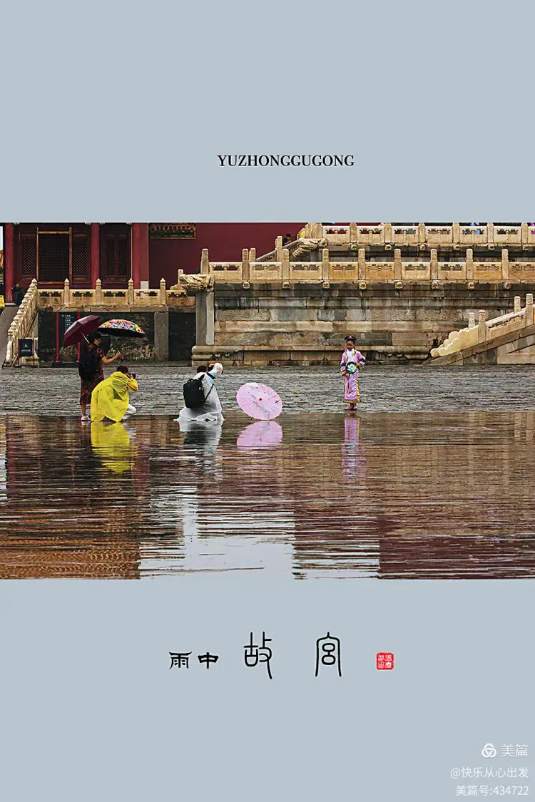 呼风唤雨佳中宫，生肖揭秘与精选解析