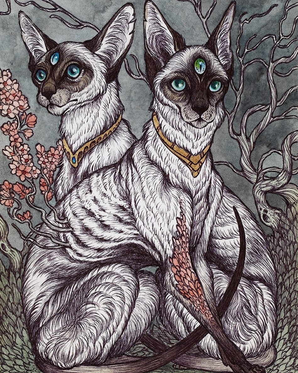 八面玲珑是猜一动物?最新解释与落实