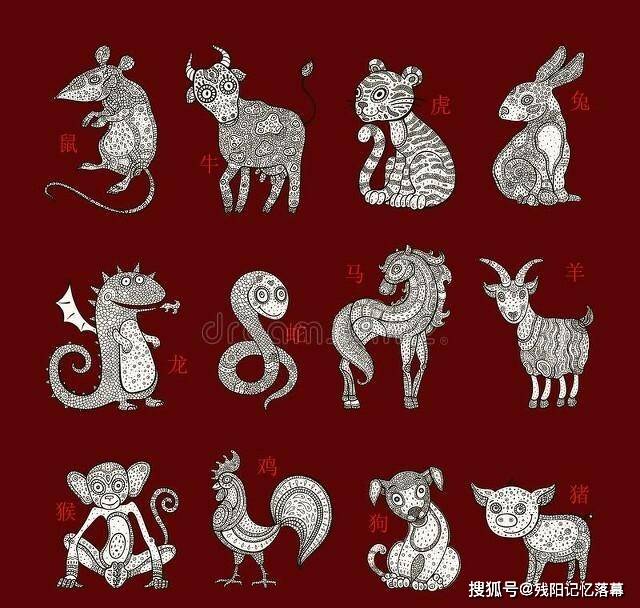 大名鼎鼎是什么生肖，解释与落实的和谐共舞