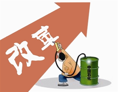 天长地久猜一生肖,揭秘如何选择并落实正确的 天长地久猜一生肖,揭秘如何选择并落实正确的