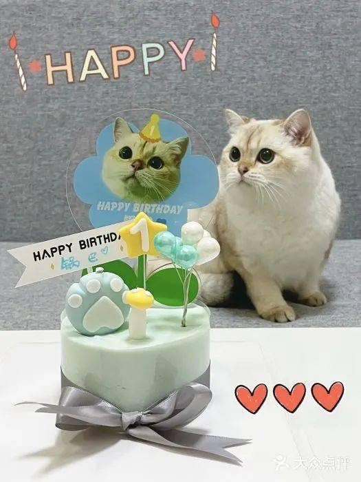 一六相伴五路开猜一动物，的不安分之选