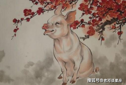 春风得意的生肖,创造作答落实解释 春风得意的生肖,创造作答落实解释