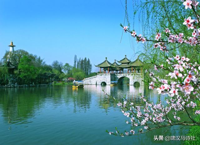 双柑斗酒打一正确生肖，解释与落实的和谐共舞