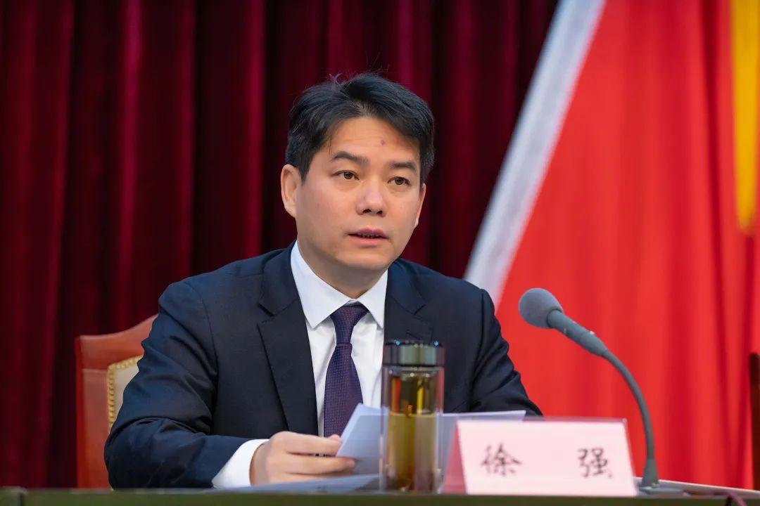 东山再起与生肖的奥秘，成就的背后是坚持不懈的落实