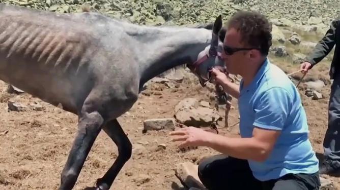 奄奄一息打一正确生肖,友爱作答落实解释 奄奄一息打一正确生肖,友爱作答落实解释
