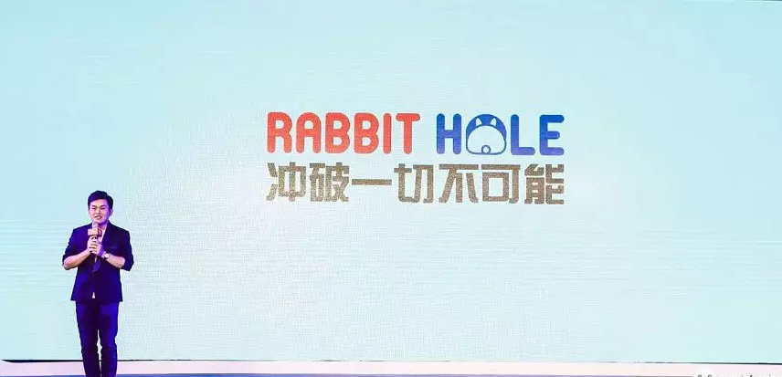 大家闺秀与生肖的神秘联系，以兔为例的非凡解释与文化落实