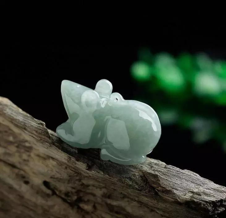 邑犬群吠，揭秘背后的生肖寓意