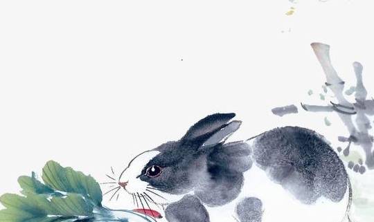 寿命不长的生肖,马上为你揭晓落实 寿命不长的生肖,马上为你揭晓落实