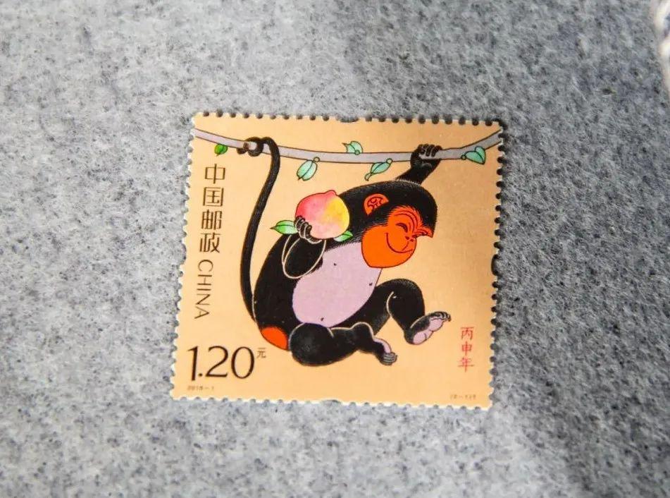 鸡飞蛋打，猜一生肖的温馨解析与文化解答