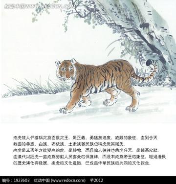 解析单打独斗的生肖文化寓意，以虎为例