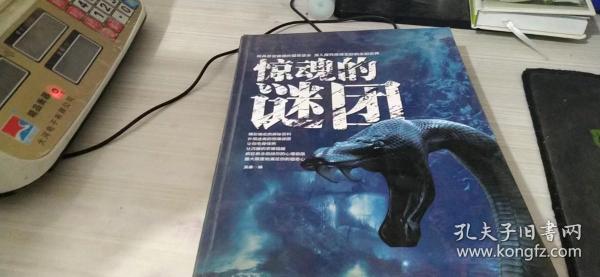 谜团揭晓，四面八方指的生肖是什么？