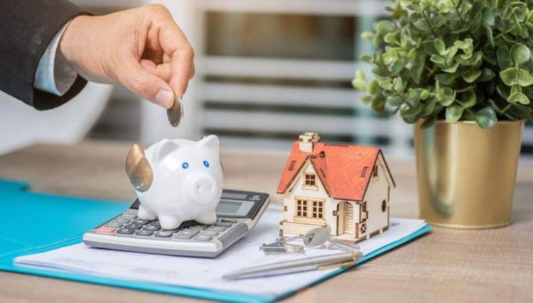 减灶之计猜一动物，热议作答落实解释